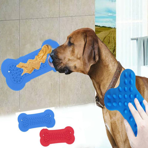 Pet Bathing Grooming and Dog Training Feeding