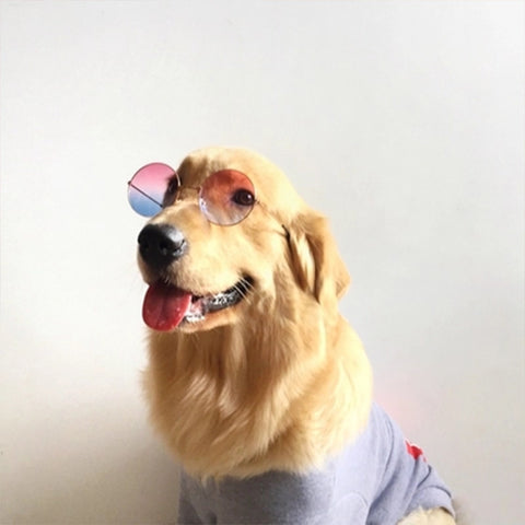 Dog Glasses Pet Accessories Pet Sunglasses