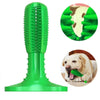 Dog Chew Toys Dogs Toothbrush